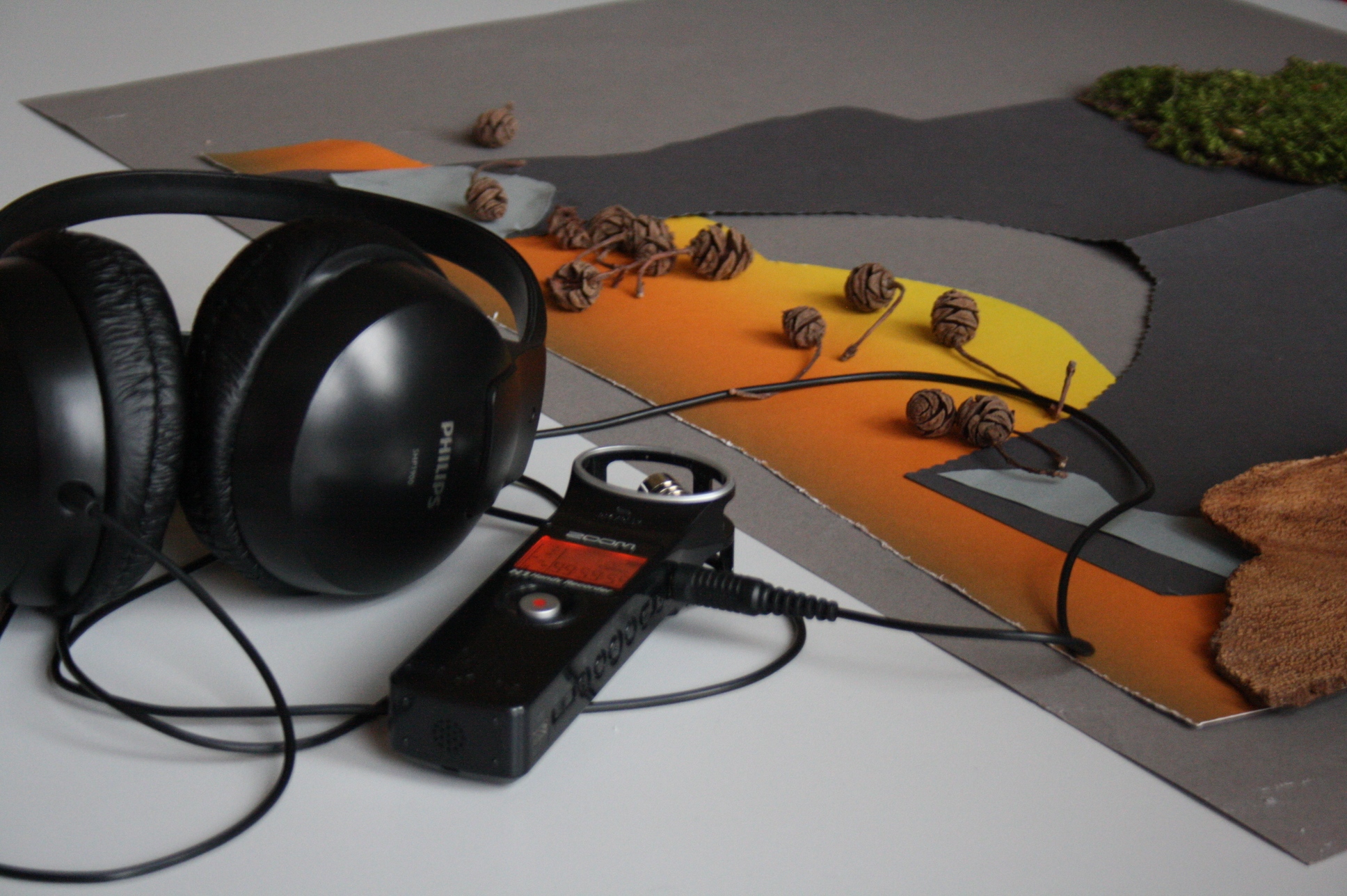 Neue Fortbildungen für PädagogInnen